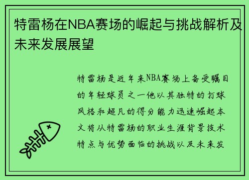特雷杨在NBA赛场的崛起与挑战解析及未来发展展望
