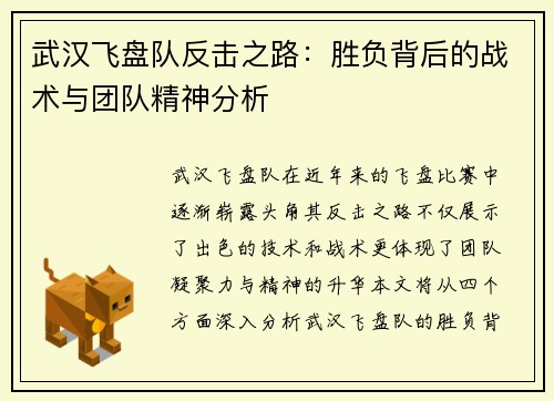 武汉飞盘队反击之路：胜负背后的战术与团队精神分析